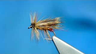 Tying a Dark Claret Peter Sedge with Davie McPhail