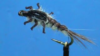 Beginner Fly Tying a LivelyLegz Generic Nymph with Jim Misiura