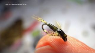 Tying a Small Olive Nymph with Davie McPhail