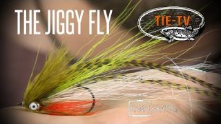 Tie TV - Jiggy Fly - Daniel Bergman