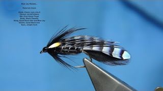 Tying a Blue Jay Matuka Fly by Davie McPhail