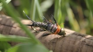 Rowley Stone - #1 Stonefly Pattern - Fly Tying Video