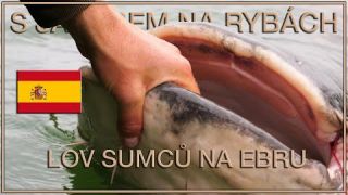 S Jakubem na rybách - Lov sumců na Ebru s Romanem Kuřilem - With Jakub fishing - Big catfish on Ebro