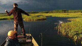 top water pike