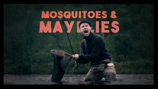 Mosquitoes & Mayflies | EP1 | Somewhere Else