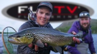 FLY TV - Brown Trout Fly Fishing with Big Streamers